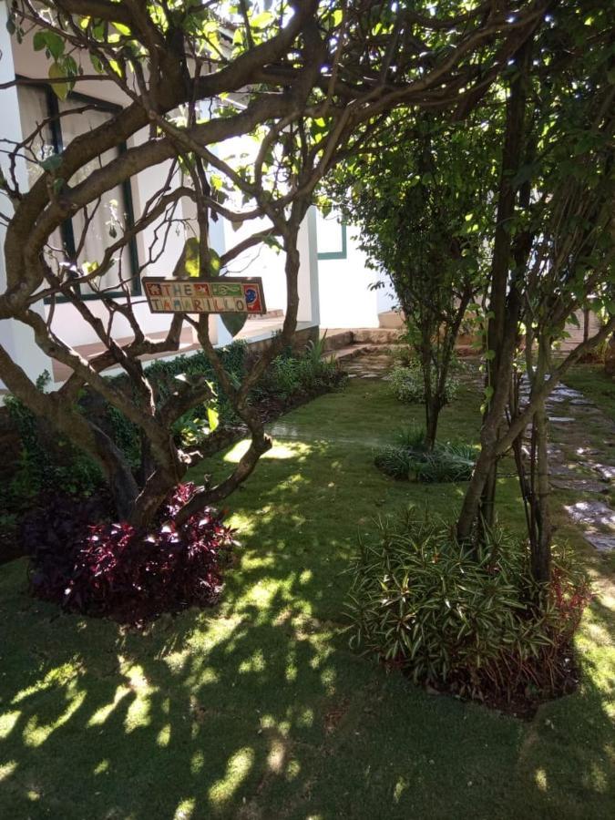 The Tamarillo Bed & Breakfast Ooty Exterior foto