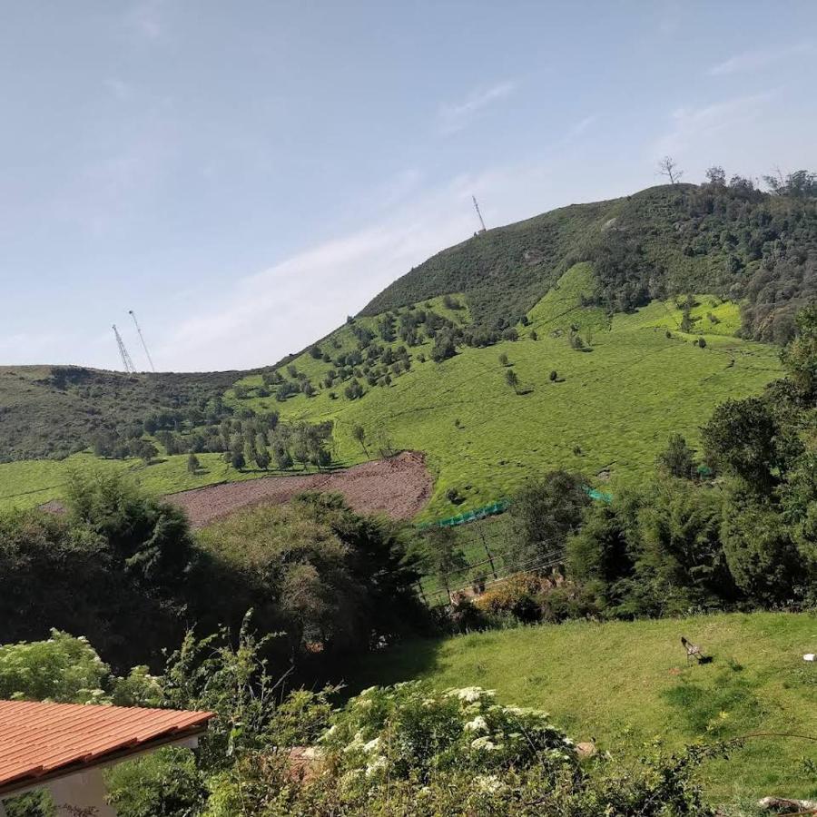 The Tamarillo Bed & Breakfast Ooty Exterior foto