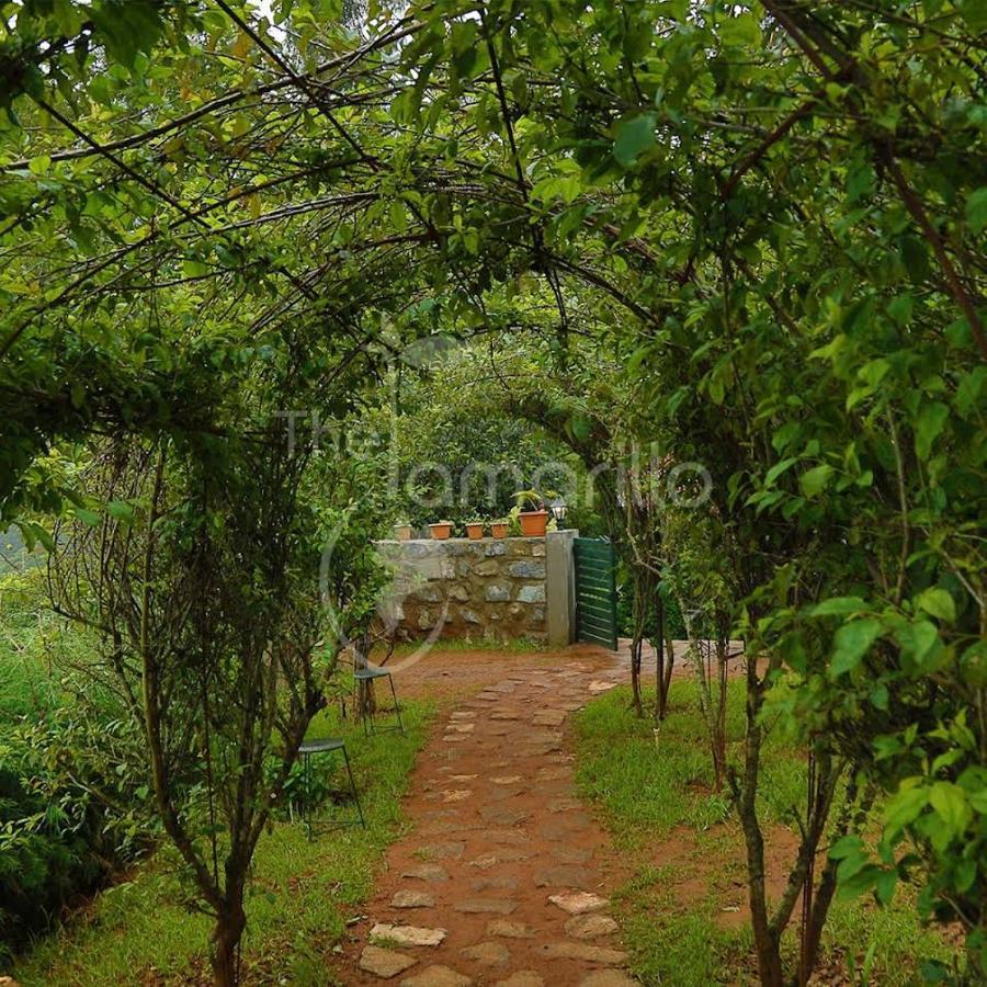 The Tamarillo Bed & Breakfast Ooty Exterior foto